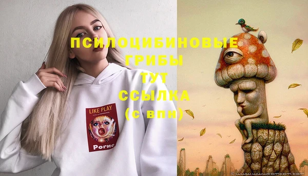 кристаллы Алзамай