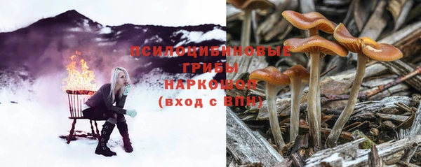 a pvp Алексин