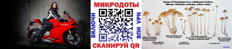 Псилоцибиновые грибы Psilocybe  хочу   Когалым 